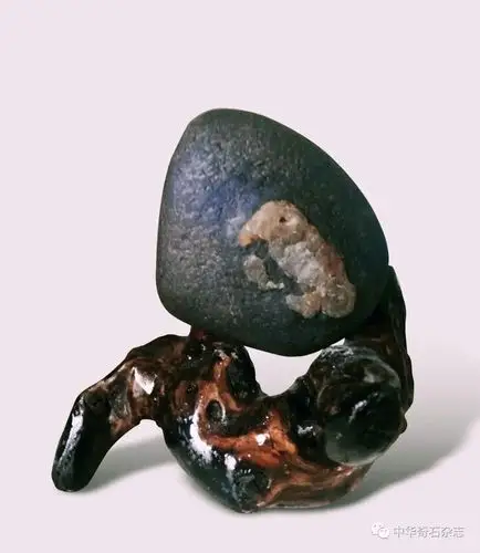 发表在《中华奇石》杂志第四期上的作品——《早起的鸟儿》.