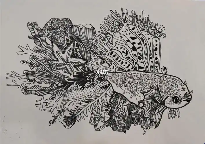 临摹线描一组鱼儿