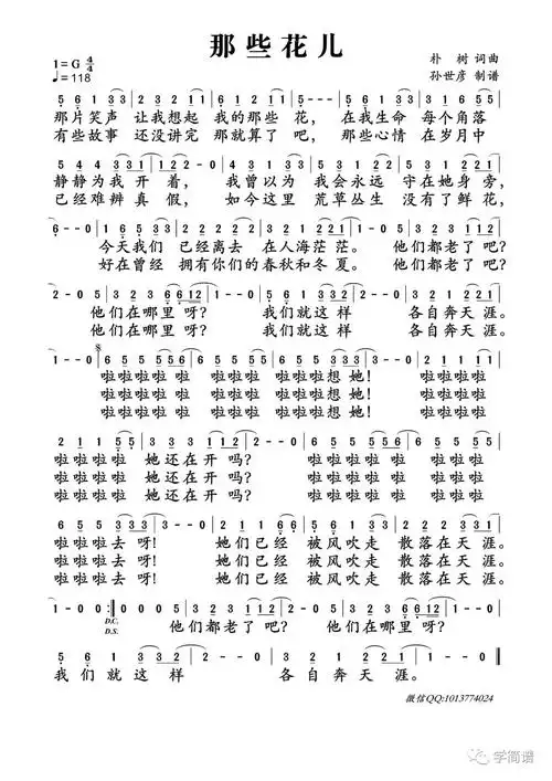 朴树 那些花儿 简谱-学简谱-八卦帝