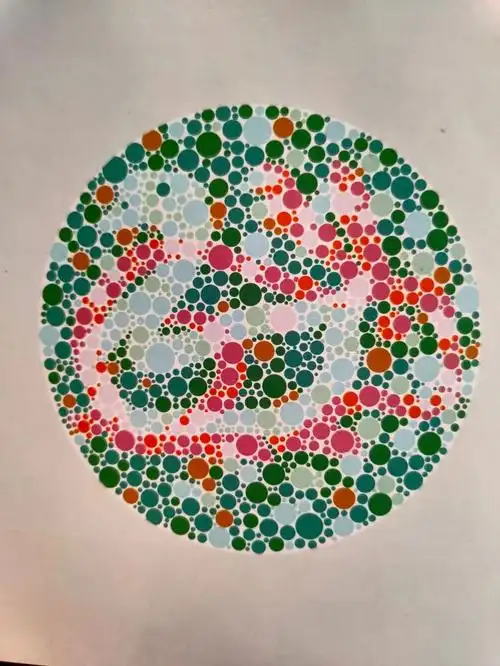 2020年最近驾考体检专用色盲检测图