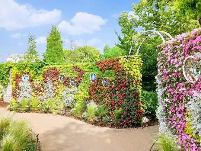 花间艳事 一上海植物园2020年 "国际花展"(2)