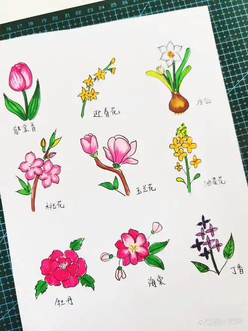 春天的花简笔画 春日小花花简笔画,郁金香,迎春花,水仙花,桃花,玉兰花