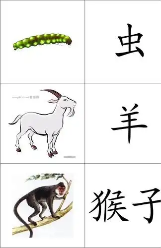 幼儿识字卡片(动物)