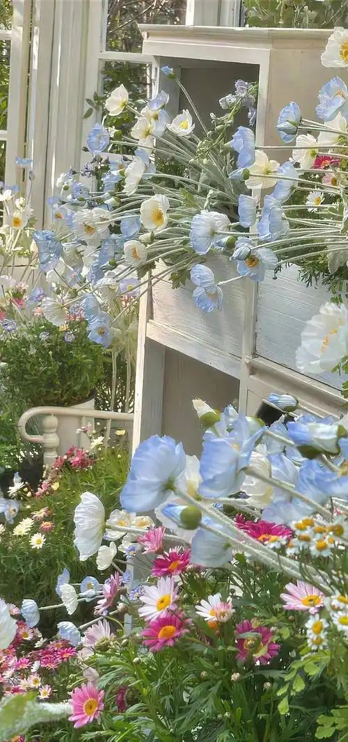 壁纸|这种风格的壁纸真的爱啦!