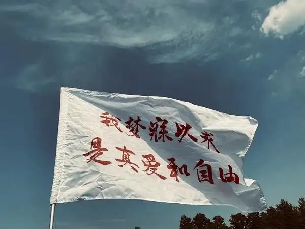 我梦寐以求的是真爱和自由已找到