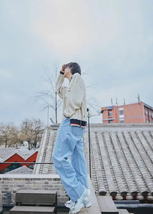 张婉清上房揭瓦抢春风