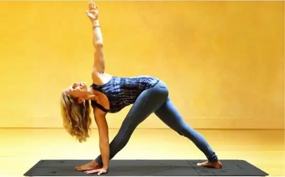 正位瑜伽三角转动式