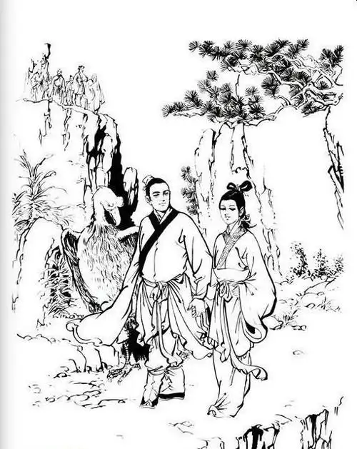 《神雕》pal(神雕侠侣)书评