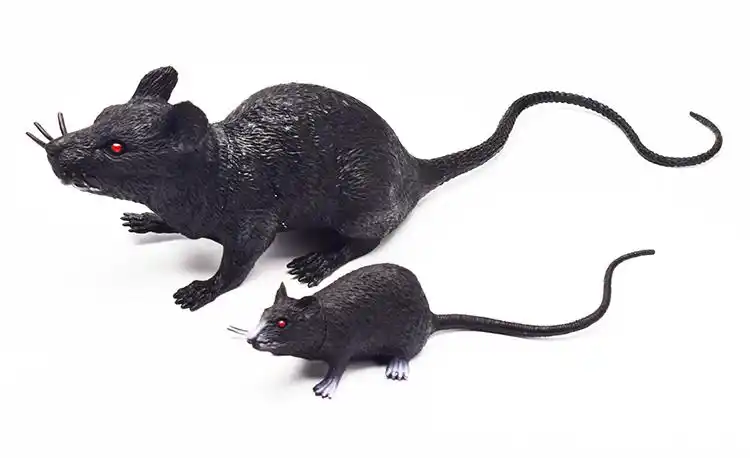 仿真老鼠塑胶模型老鼠模型空心白灰黑鼠拍摄写真道具塑胶整蛊吓人好玩