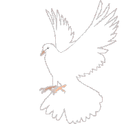 177_181gif 动态图 动图