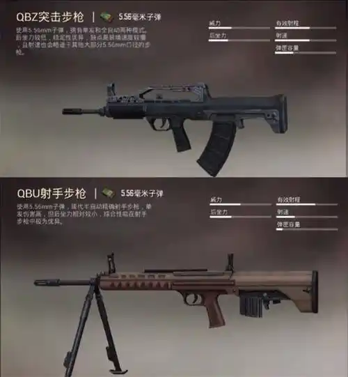 这些被游戏忽略的武器,伤害是最大,中等距离最佳_步枪_玩家_射手