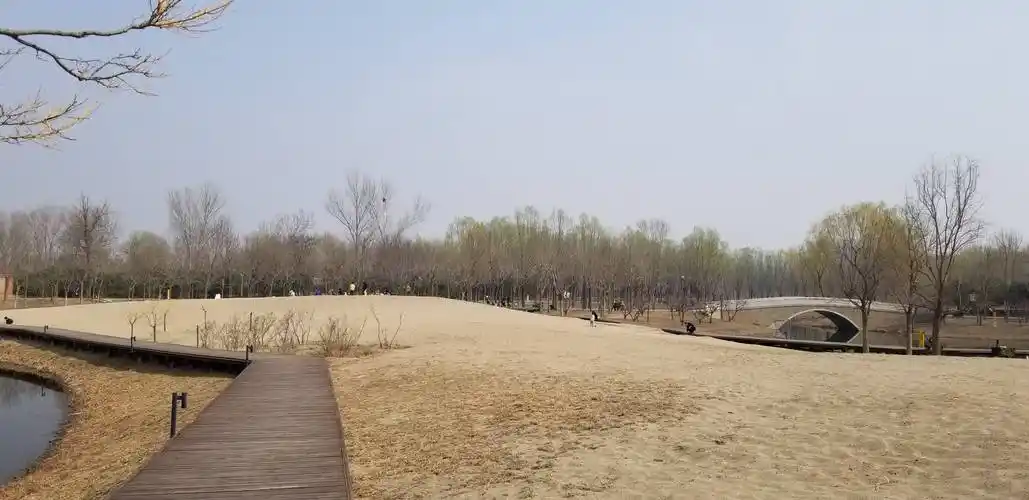 北京三大郊野公园,继城区赏花之后春游最前线,主打"野"字,各野其野