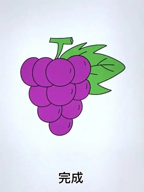 葡萄简笔画