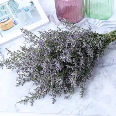 干花情人草天然风干真花家居花束客厅装饰插花摆设小清晰ins
