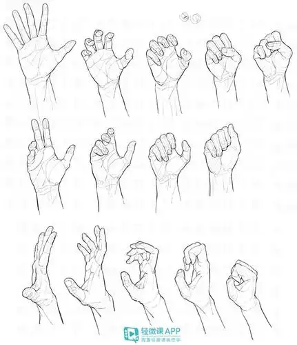 简单静物素描教程丨教你画简单的静物写生