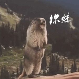 300_300gif 动态图 动图