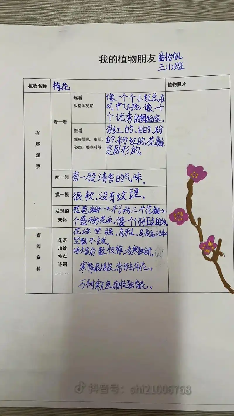 三年级观察植物观察记录单 - 抖音