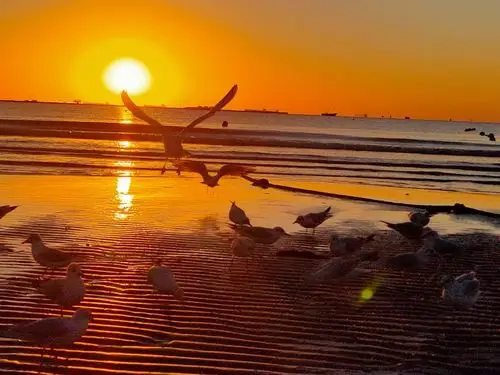 早晨6点39分 太阳从渤海湾 海面上徐徐升起!