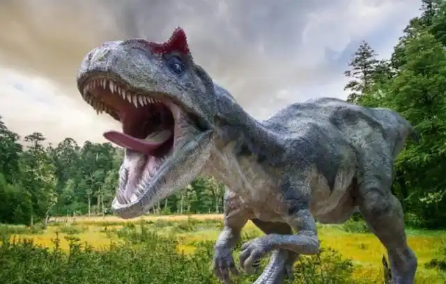 风暴过后罕见大恐龙脚印在海滩上被发现,属于1.3亿年前巨兽