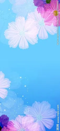 网页背景(花)图片